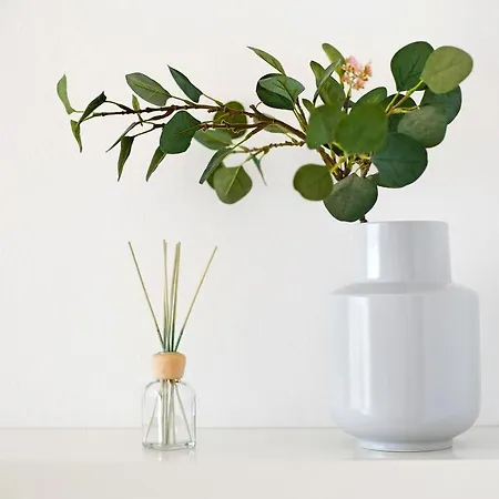 Bahía Vista Costa Calma