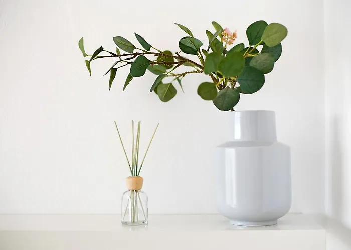 Bahia Vista Costa Calma